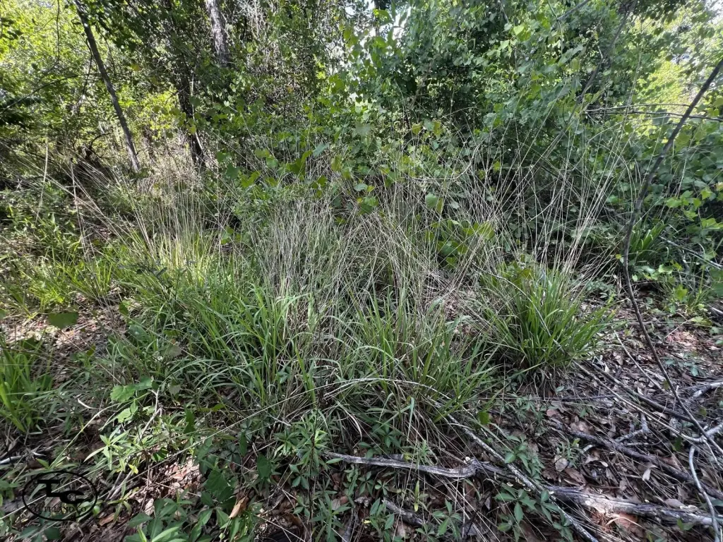 Picture 18