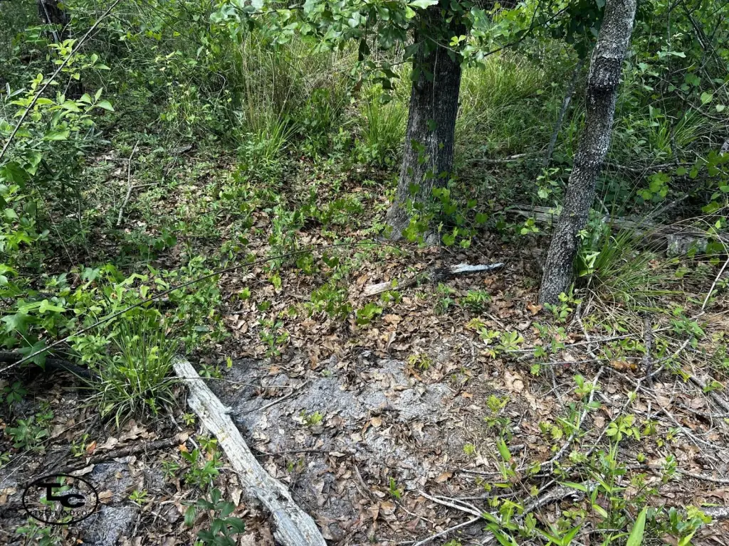 Picture 15