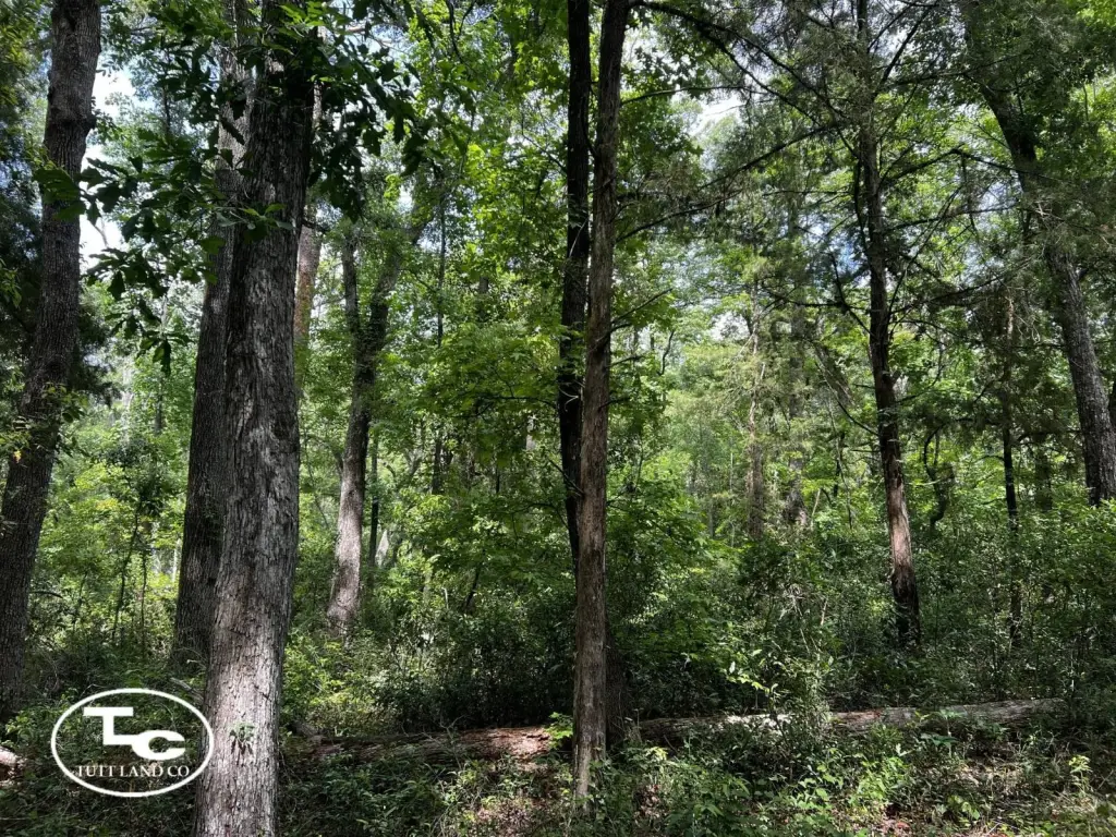 Picture 18