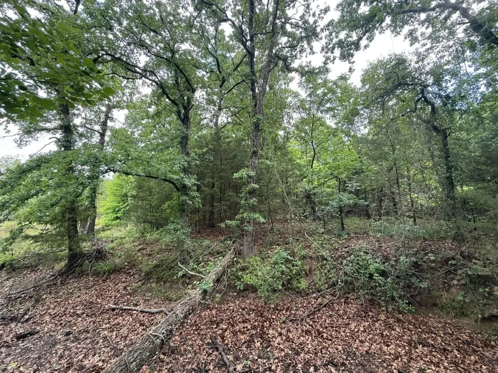 Picture 19