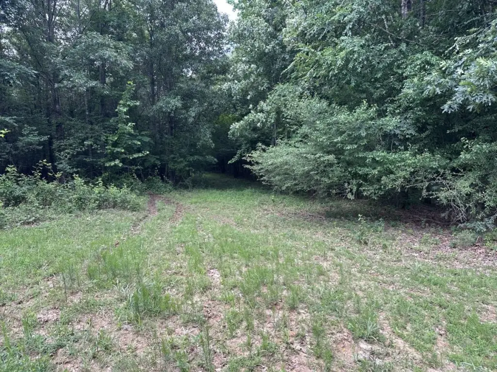 Picture 11