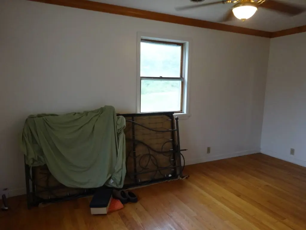Picture 11