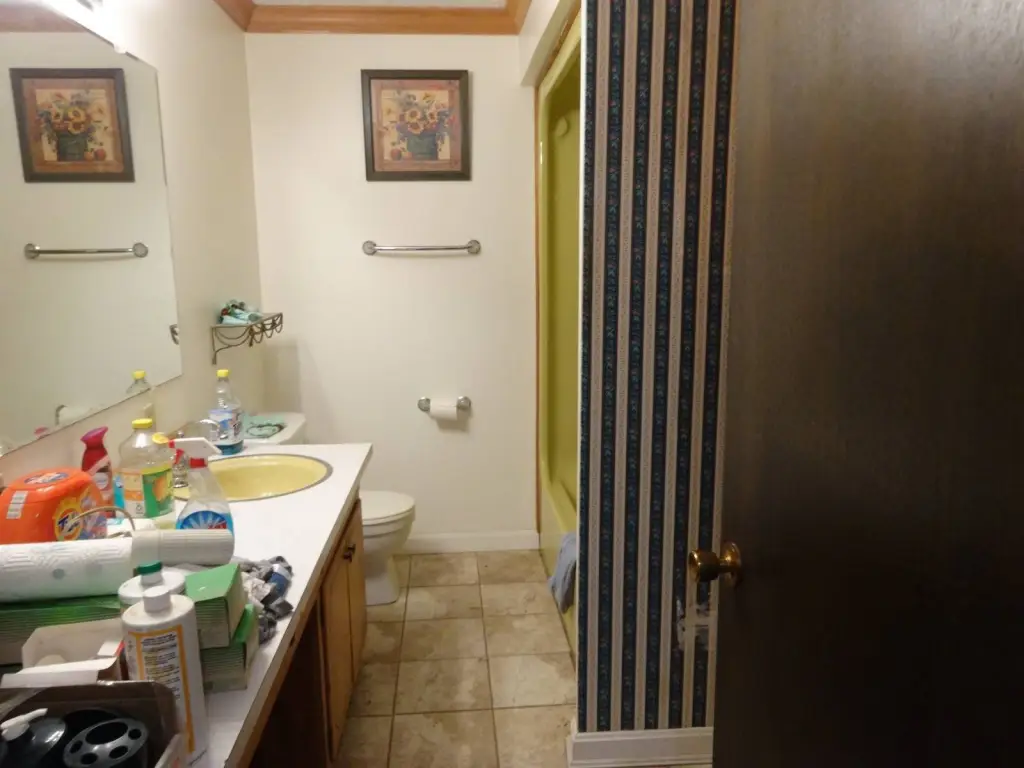Picture 7