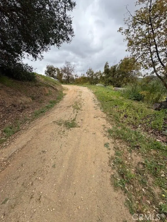 Picture 17
