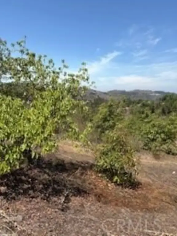 Picture 22