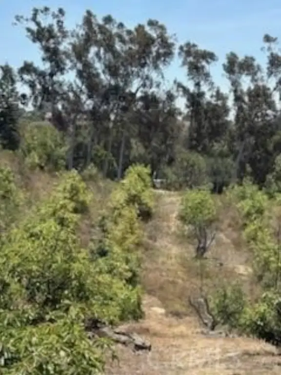 Picture 30