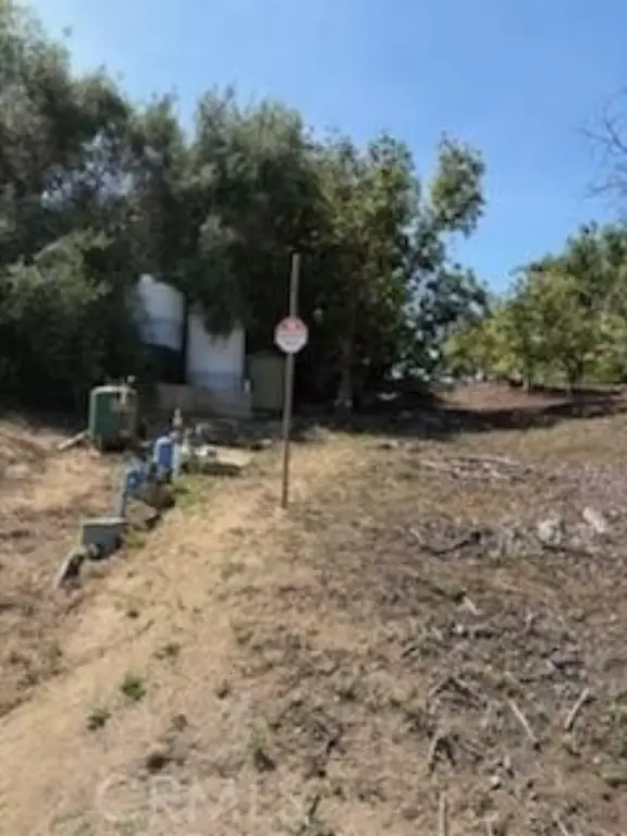 Picture 28