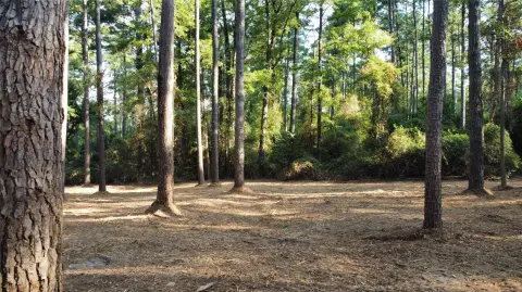 Road-Frontage Commercial Land