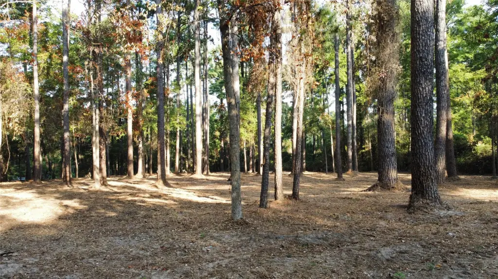 Picture 8