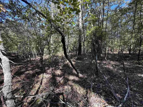 Horseshoe Bend Subdivision Lot