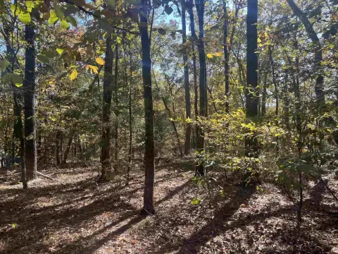 Land in Caddo Hills