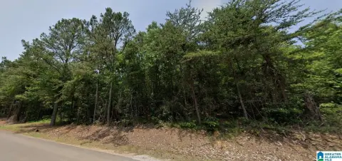 Vance, AL 10-Acre Land Tract