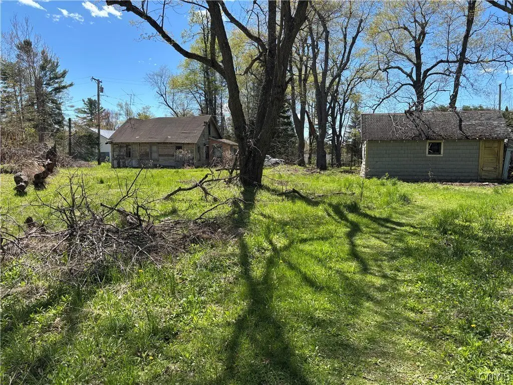 Picture 17