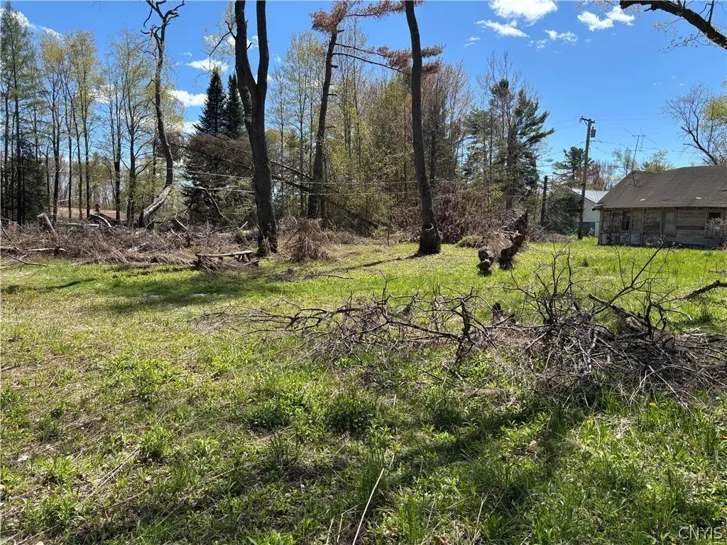 Picture 16