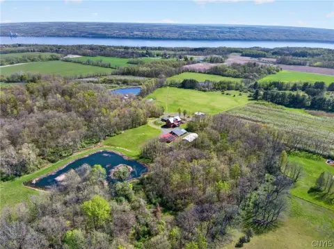 Operating Orchard Farm