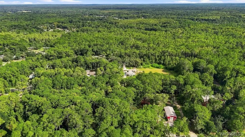 Picture 49