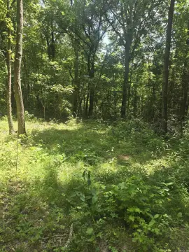Unrestricted Acreage with Cedar Trees