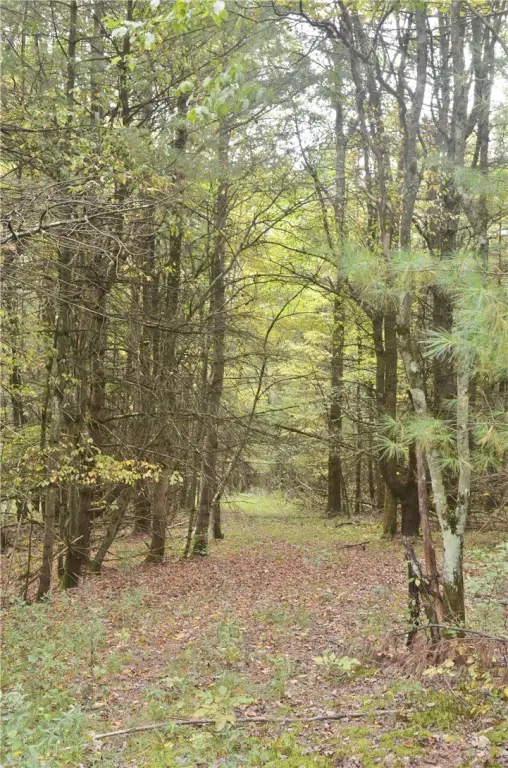 Picture 7