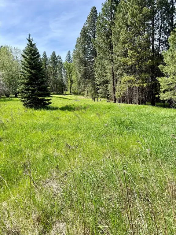 Picture 28