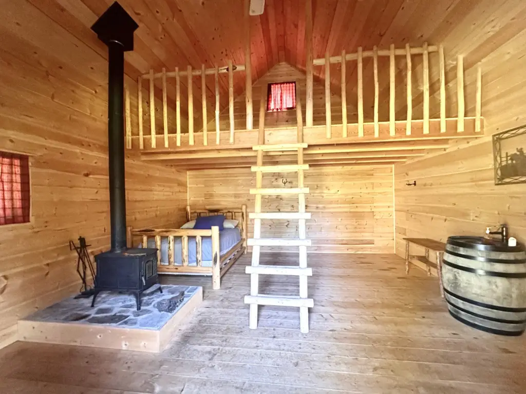Picture 8