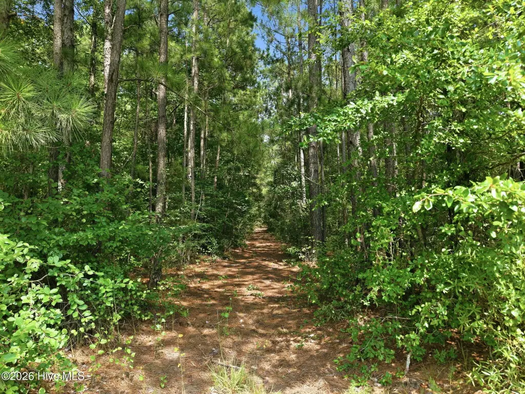 Picture 14