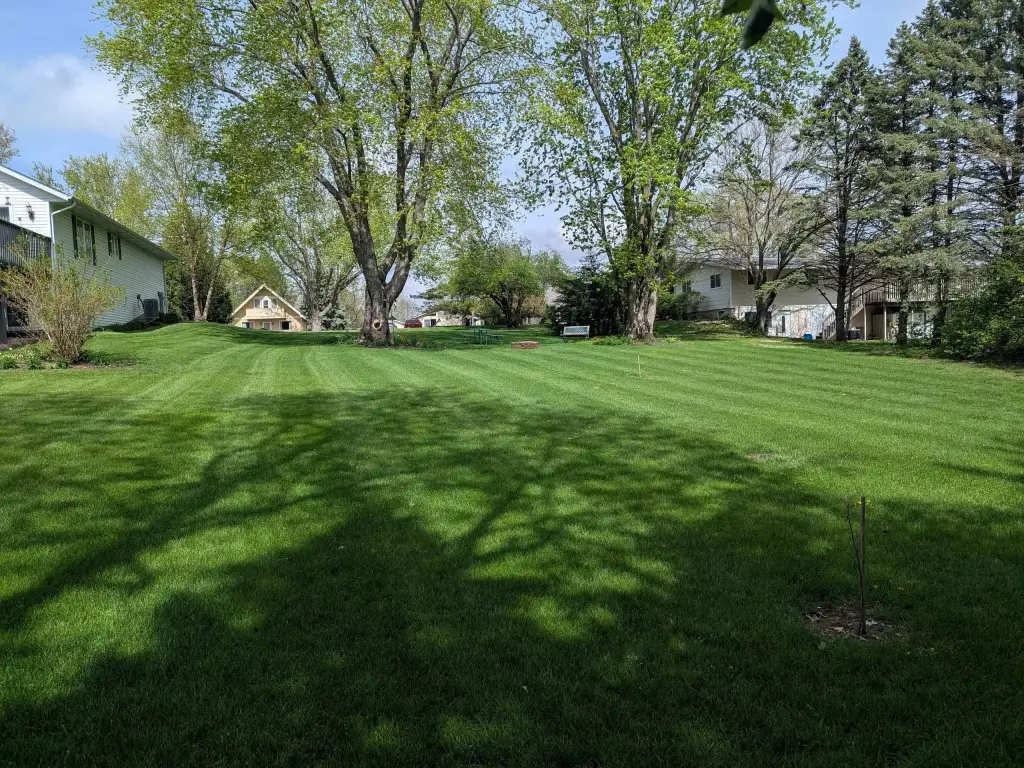 Picture 5