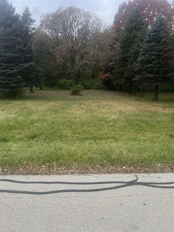 Picture 3
