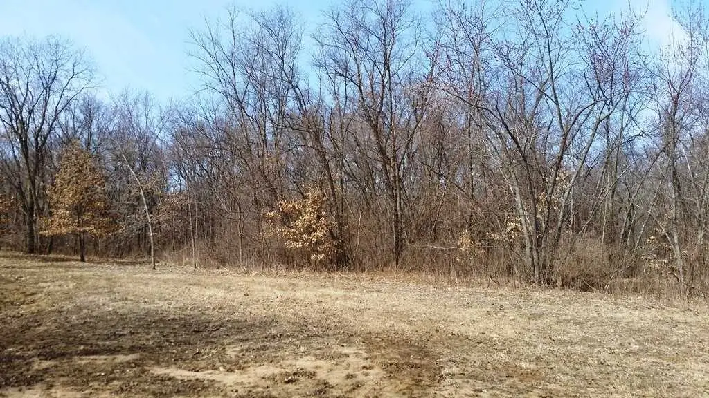 Picture 9