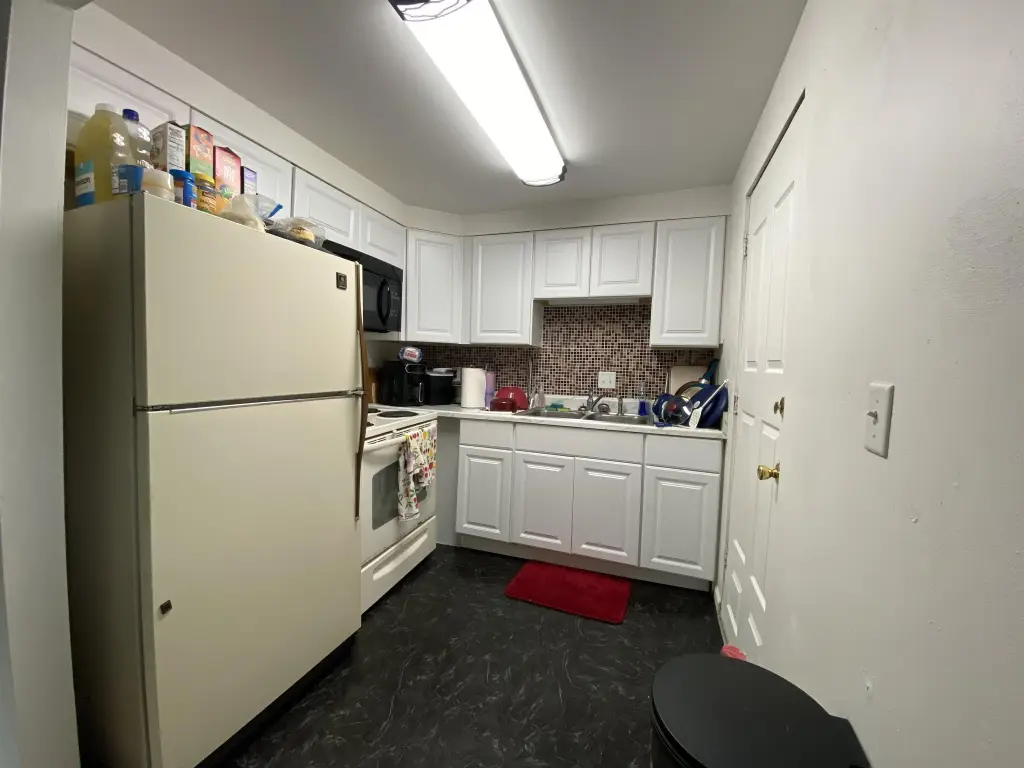 Picture 14