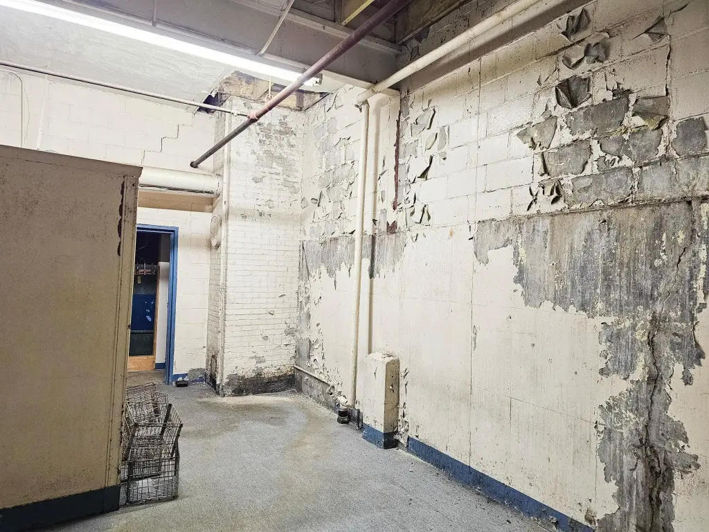 Picture 12