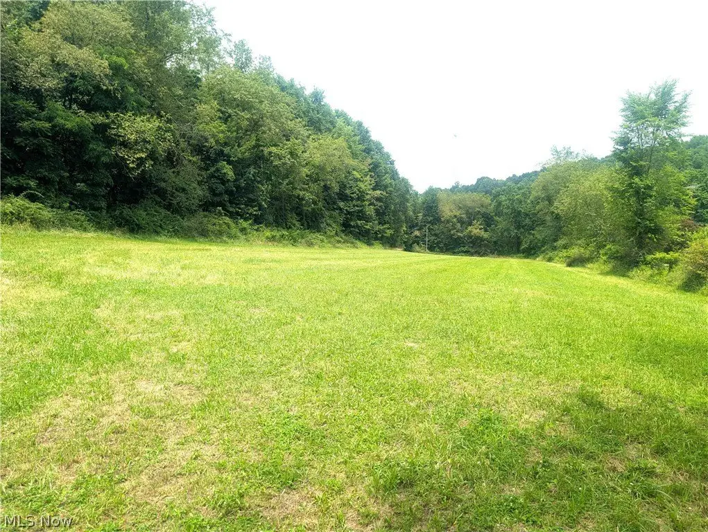 Picture 3