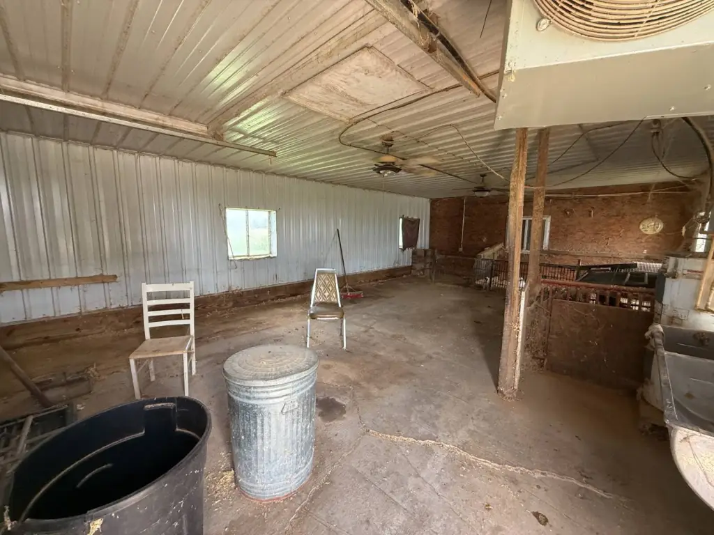 Picture 38