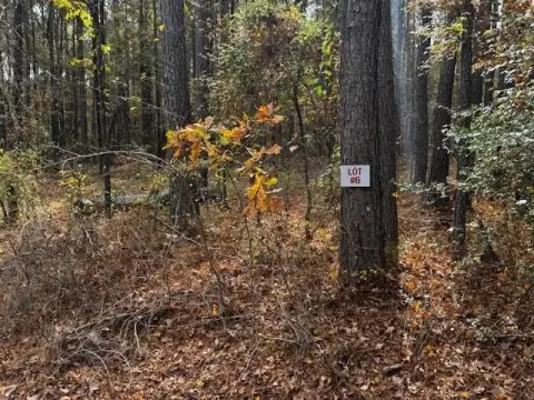 Secluded Land Ready to Build