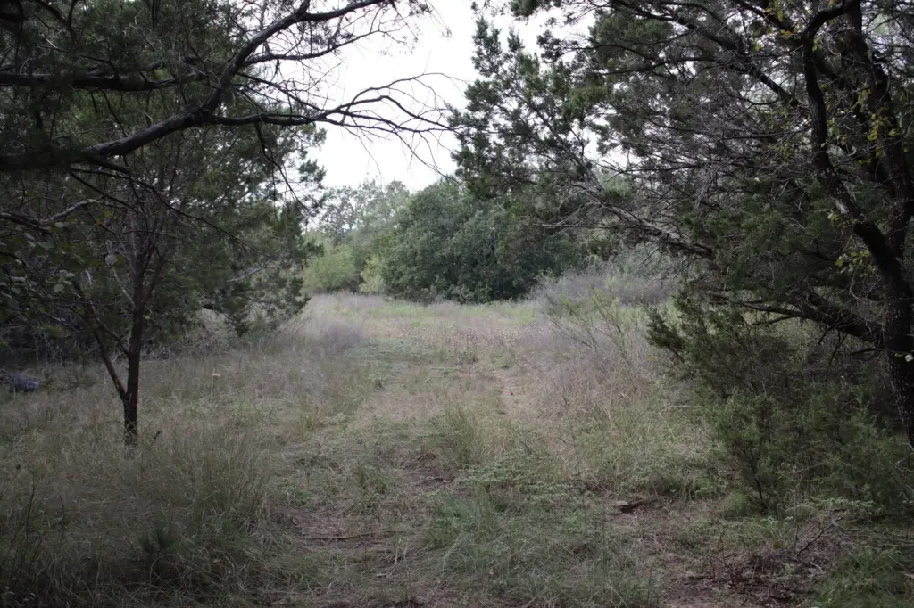Picture 16
