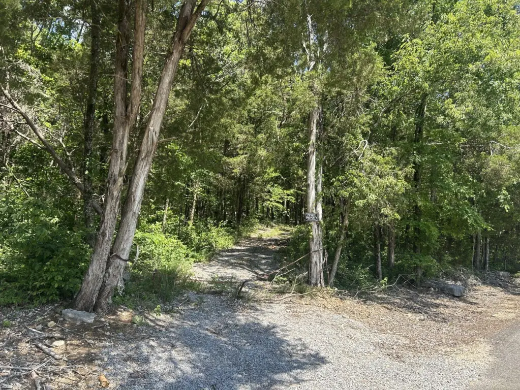 Picture 31