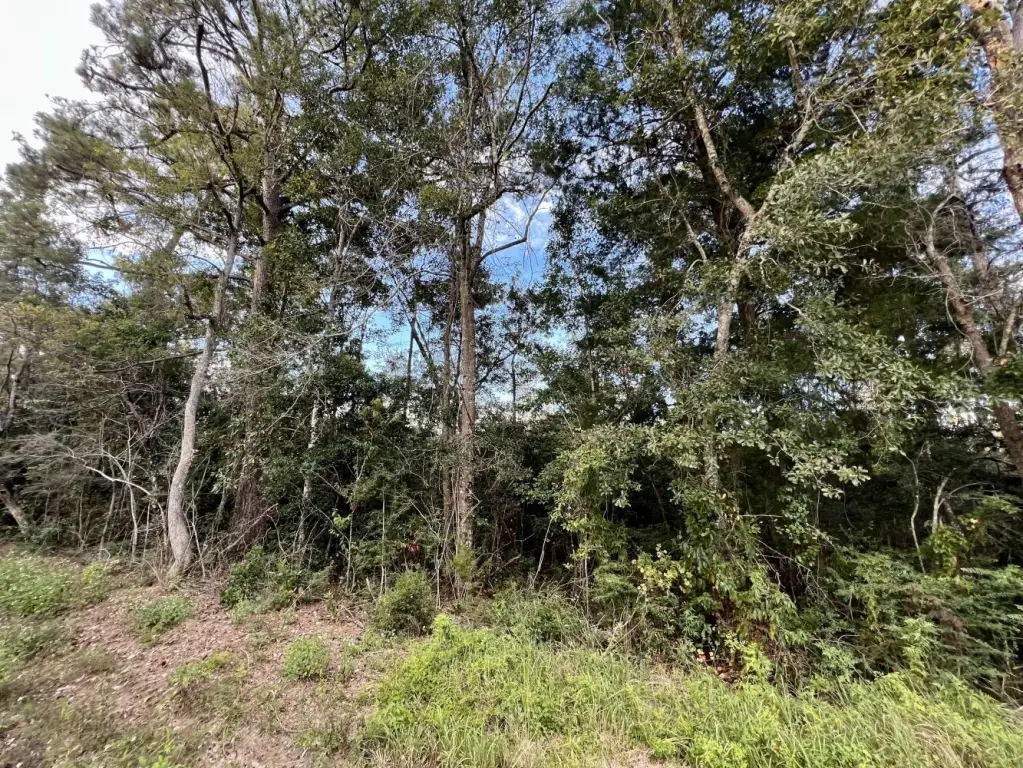 Picture 25