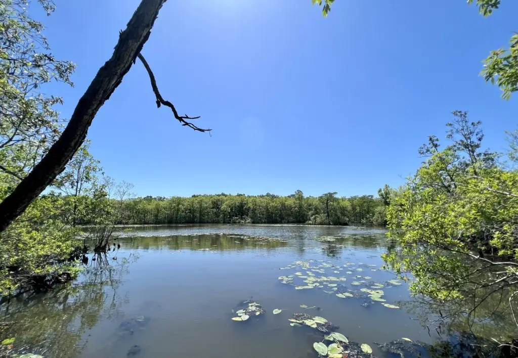 Picture 32