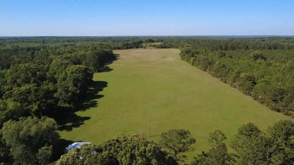 Picture 24