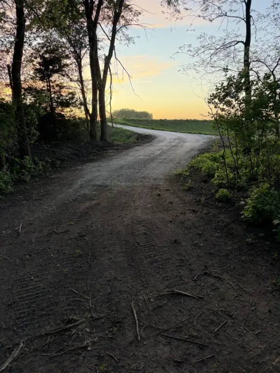 Picture 19