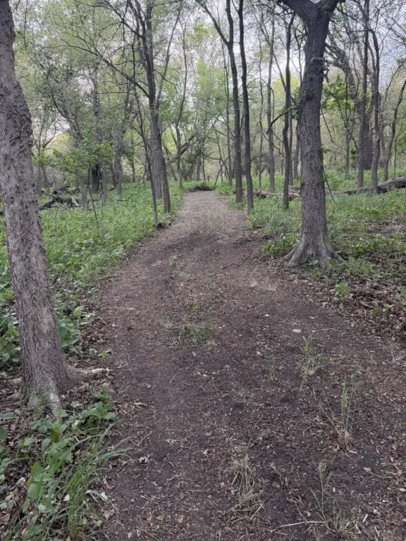 Picture 5