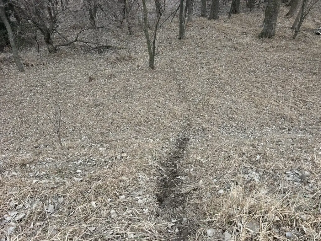 Picture 11