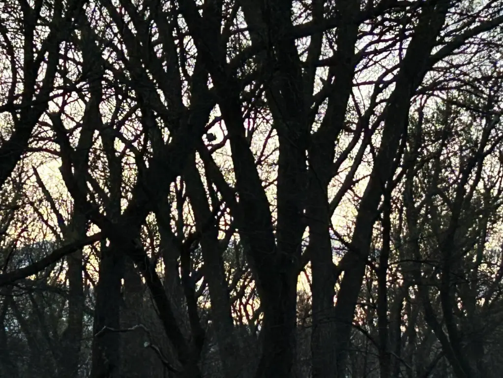 Picture 26