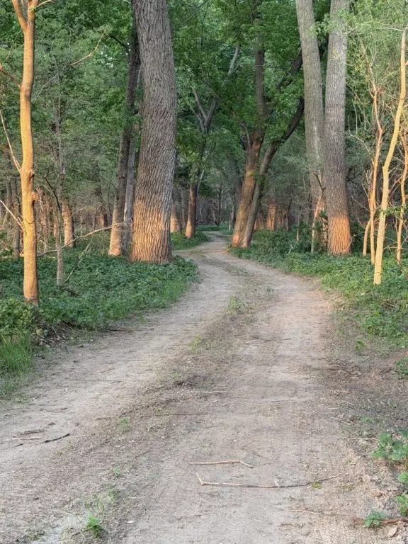 Picture 4