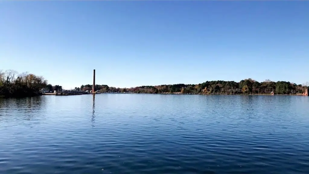 Picture 2