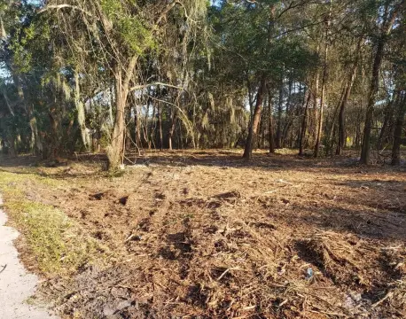 Residential Land Near Cocoa Beach