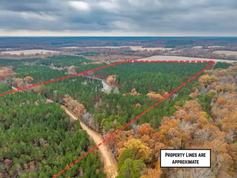 Calhoun County Recreational Land with Lake