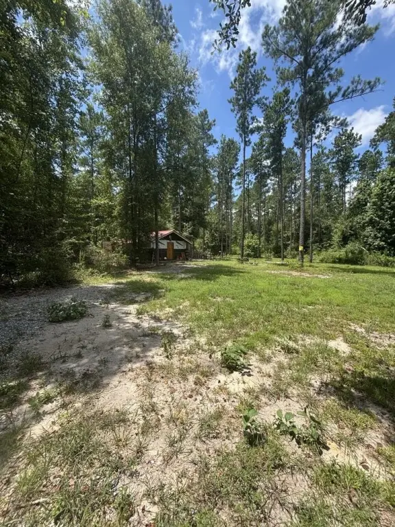 Picture 6