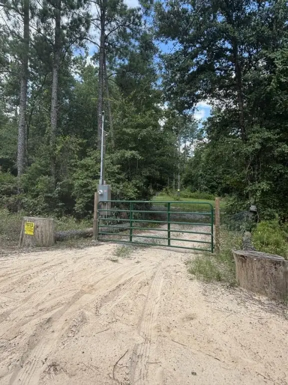 Picture 3