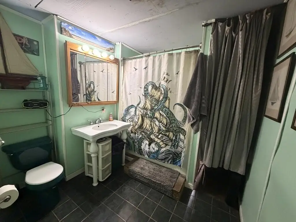 Picture 21