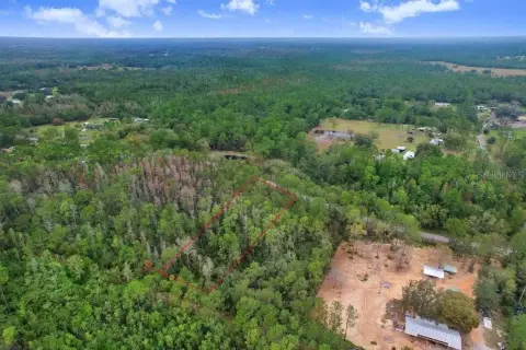 Wooded Land Parcel in Polk